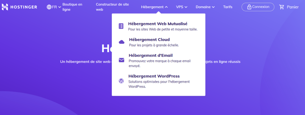 Hostinger 1 Type hebergeur